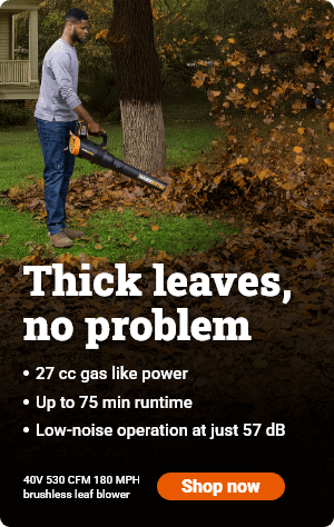 WG581 40V 520 CFM 180 MPH brushless leaf blower: Thick leaves, no problem. Shop now.