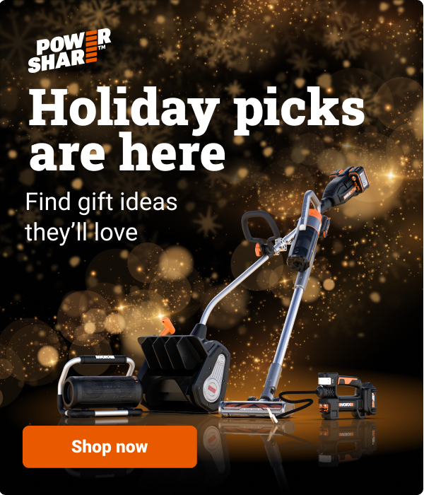 dtc_holiday_2025_email_1