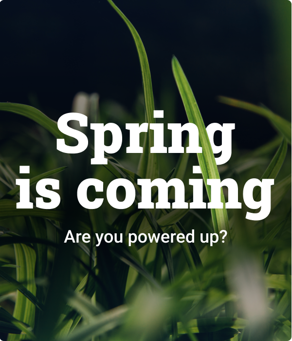 Spring_is_coming